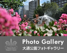 大通公園ギャラリー 大通公園ギャラリー