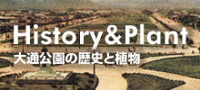 大通公園の歴史と植物 大通公園の歴史と植物